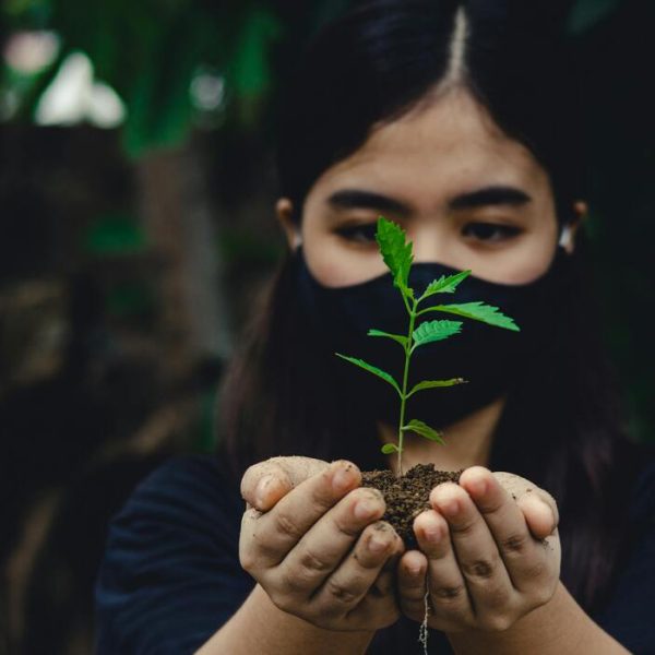 El Futuro Verde de Willunga. Tierra, Patrimonio y Comunidad