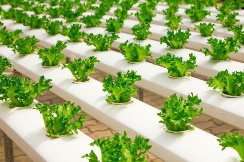 Farming Smarter, Saving Nature